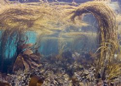 Shallows at Anchor Bay, Connemara.
D200,16mm. by Mark Thomas 